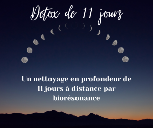 Detox de 11 jours par bioresonance